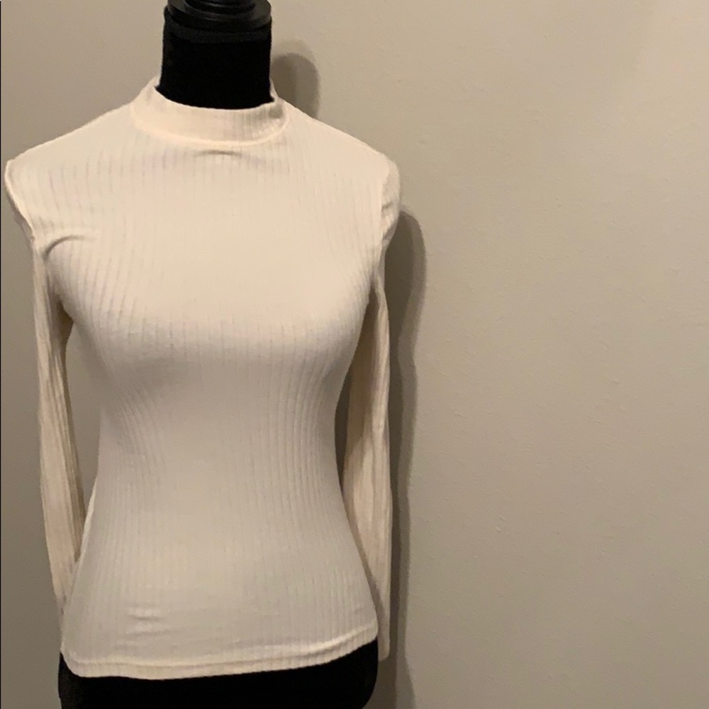 Ribbed Turtle Neck
